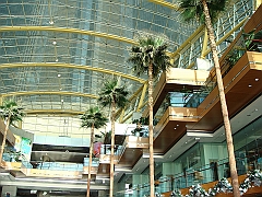 057 Detroit Scenes [2008 Nov 27]